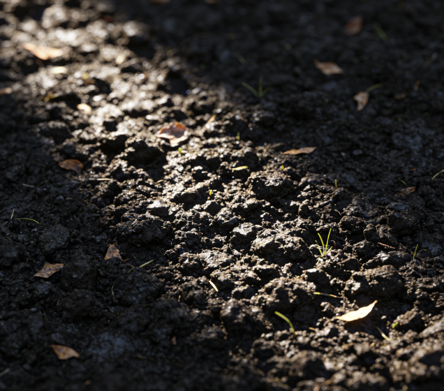 便攜式土壤重金屬測(cè)定儀多少錢？2026最新報(bào)價(jià)及采購(gòu)指南